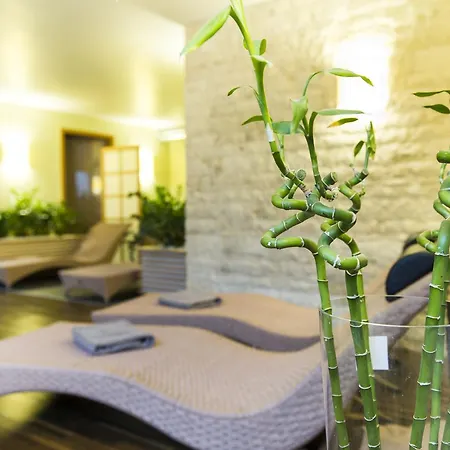 Hotel City 3*