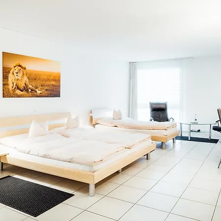 City Hotel 3*