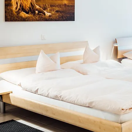 City Hotel Buchs (St. Gallen)